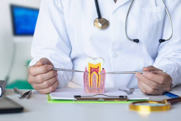Best Chipped Tooth Repair Near Me  in Juniper Canyon, OR